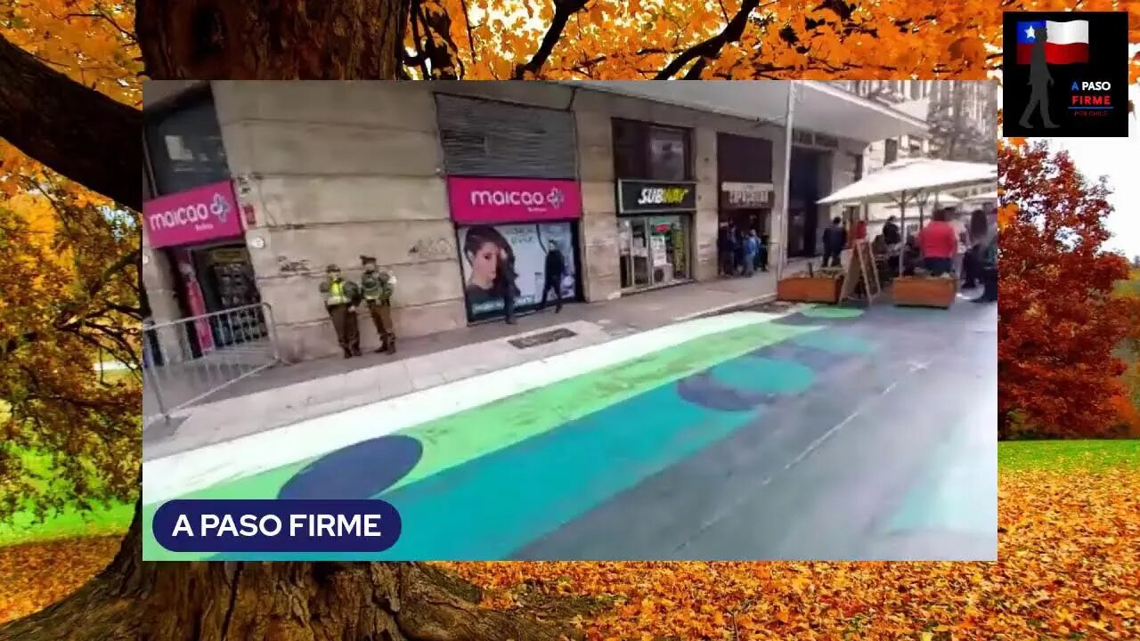 Inicio trabajo consejeros constitucionales
