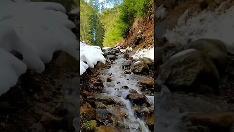 A stream with melting snow #shorts