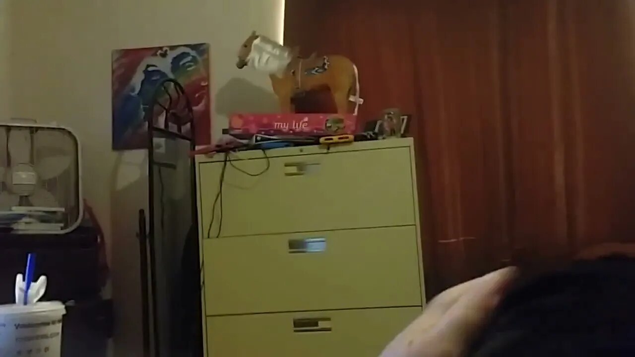 Brownie is Scared of the Toy Horse