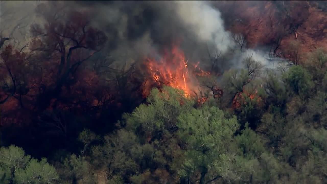 Evacuations ordered as crews battle Margo Fire in east Pinal County