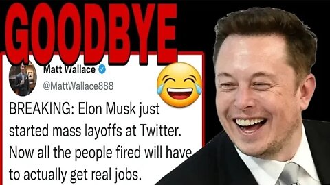 DEMOCRATS FURIOUS AS ELON MUSK STARTS MASS LAYOFFS AT TWITTER