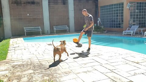 Exercício em casa: Embaixadinha com a Tila Pitbull | Exercise at home: Football with Tila Pitbull