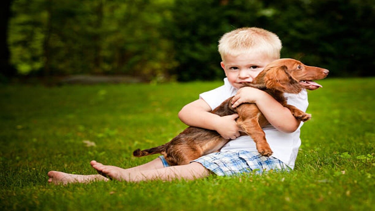 Adorable Baby and Puppy Playtime! Cutest Moments Captured!"