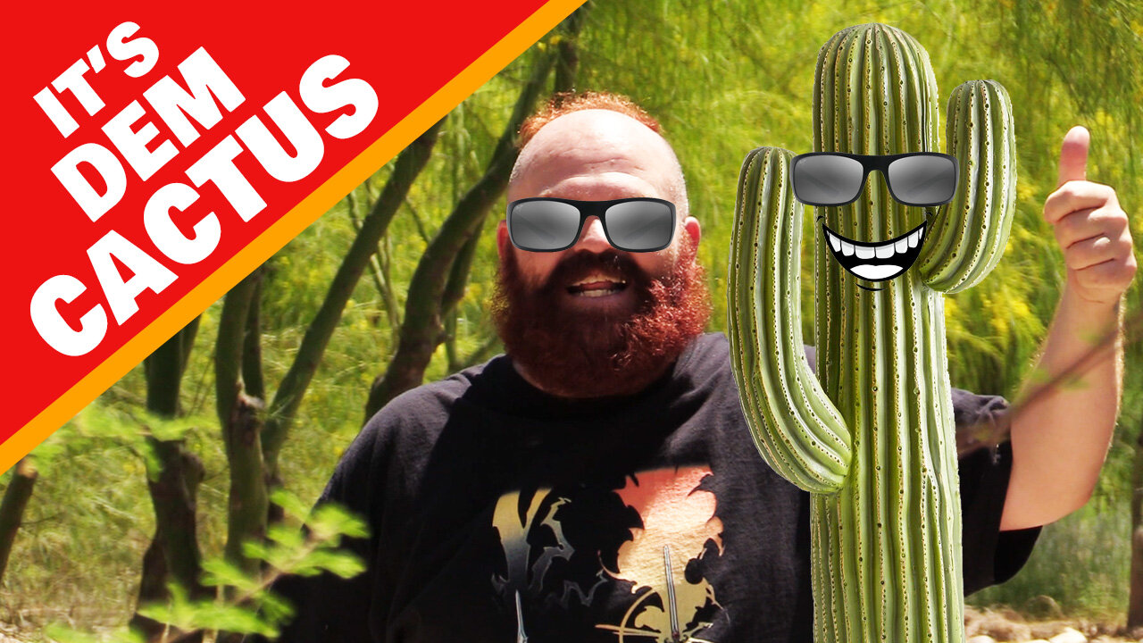 Swedish Fact Guy - Dem Cactus! | #005 | Snortenga Comedy Short