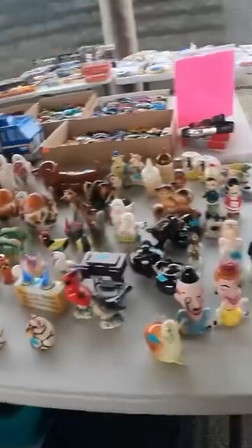 Making A Garage Sale Offer For EBay Profit