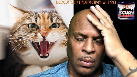 LIFE LESSONS LEARNED FROM CLEO THE TRAUMATIZED CAT! | ROOFTOP PERSPECTIVES # 128