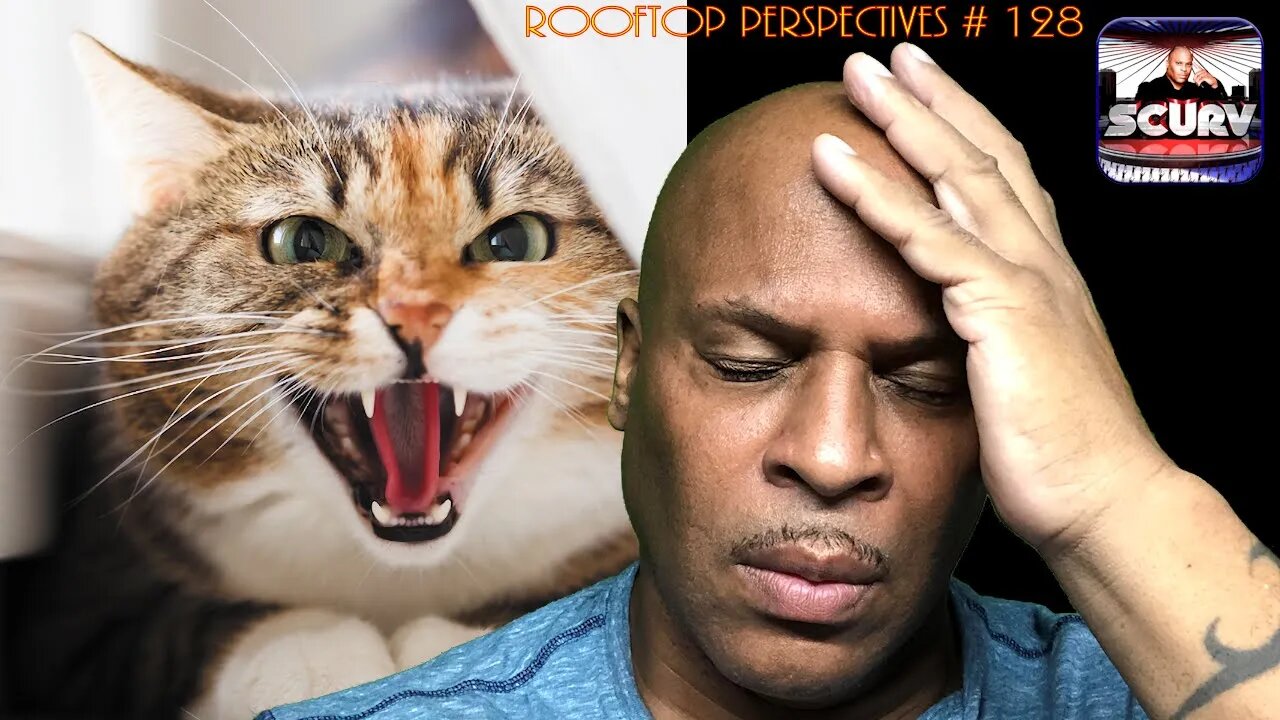 LIFE LESSONS LEARNED FROM CLEO THE TRAUMATIZED CAT! | ROOFTOP PERSPECTIVES # 128