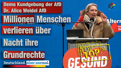 Demo Kundgebung der AfD Dr. Alice Weidel AfD