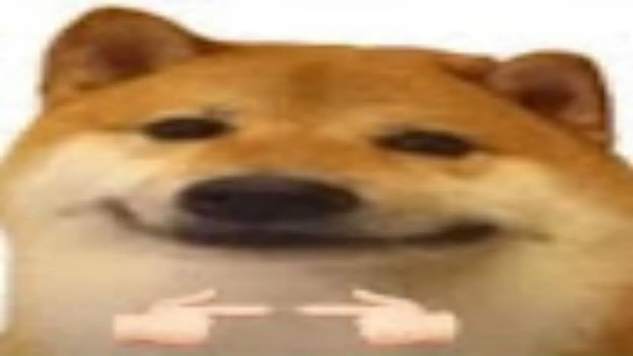 nice people in cod dmz uWu