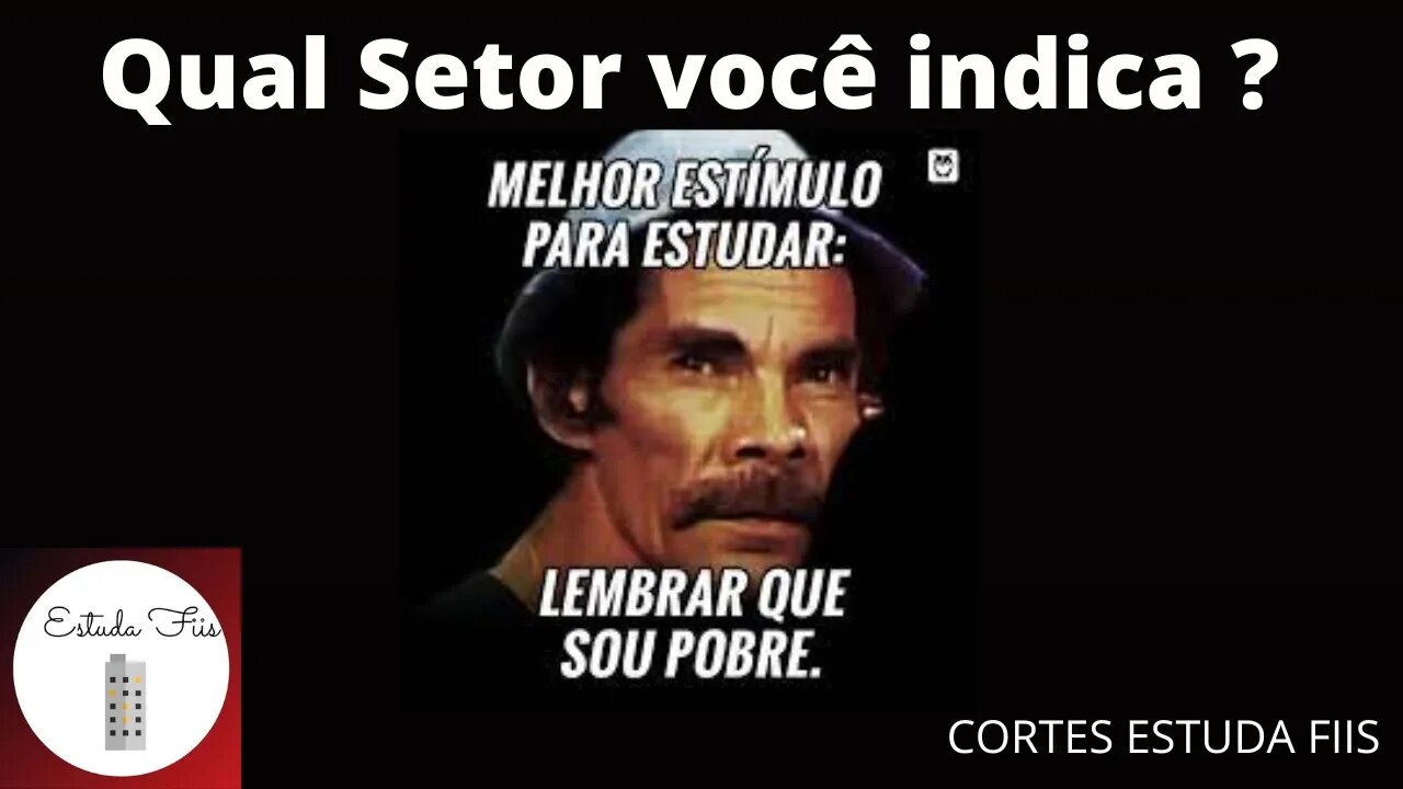 Qual setor estuda ?? #fiis