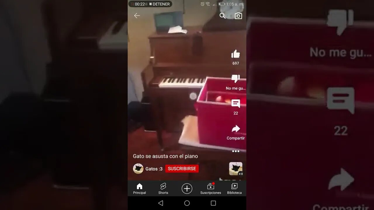 Efecto Mandela. Gato cae en piano.