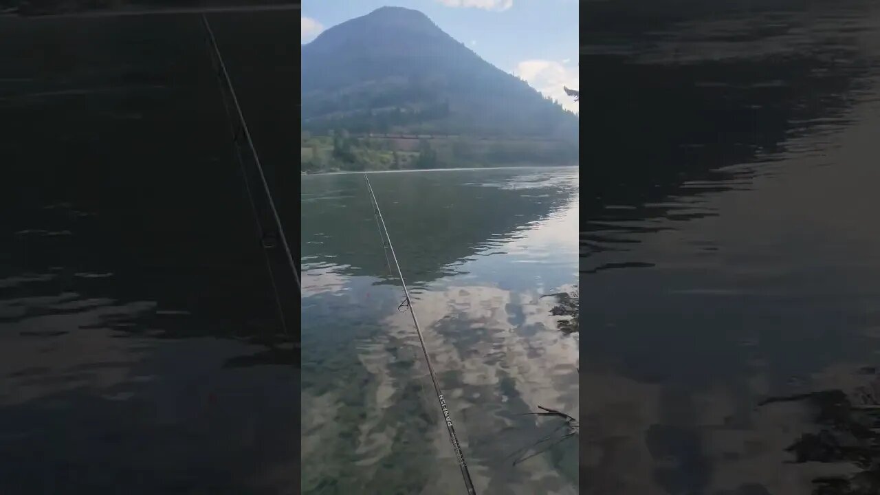 This is one of the prettiest places I have fished for sure