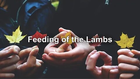 Feeding of the Lambs - October 1, 2023