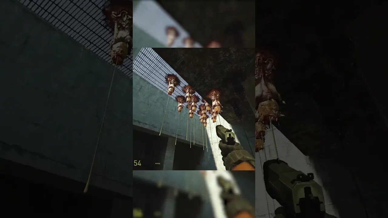 How do they find a habitat? Half Life 2 MMod #shorts