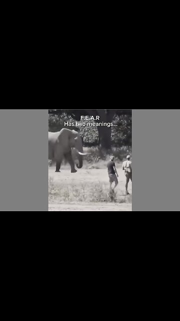 F.E.A.R. Has Two Meanings