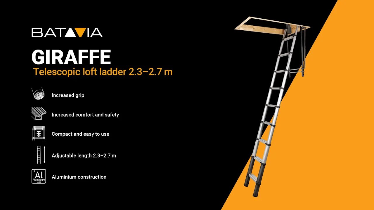 Batavia Telescopic Loftladder