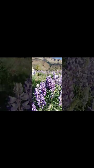 A little mountain time!! Gotta love God's beautiful creation!