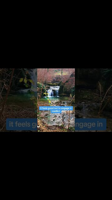 IT FEELS GOOD#goodvibes #shortsfeed #affirmations #calm #motivation #frequency #magick #antistress