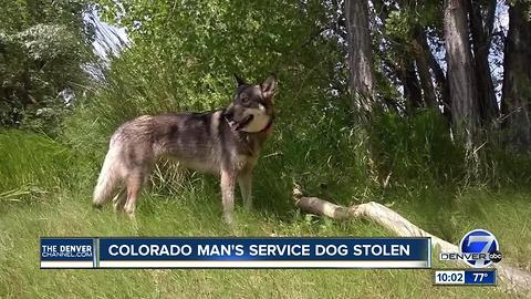 Service dog allegedly stolen in Colorado located in California