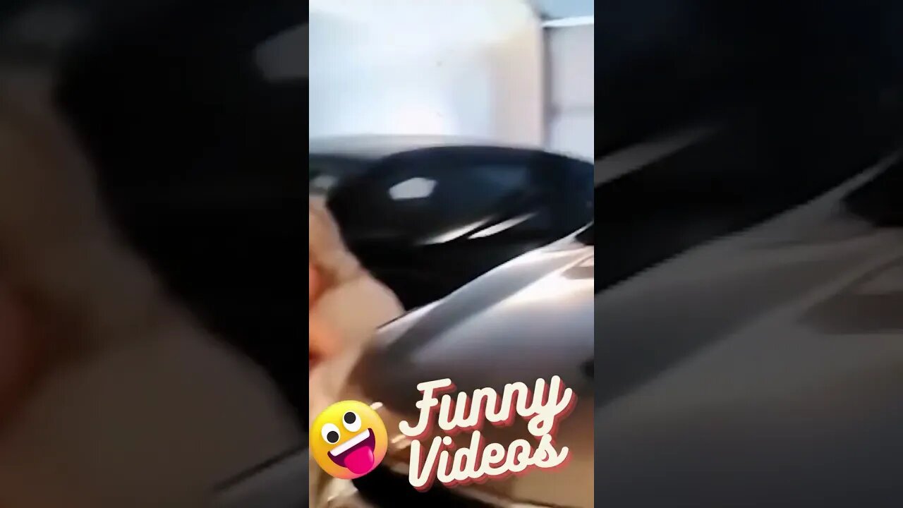Funny videos #shorts