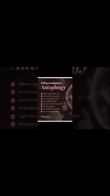 How to ACTIVATE AUTOPHAGY (8 Ways to Optimize it) 🩻 #shorts