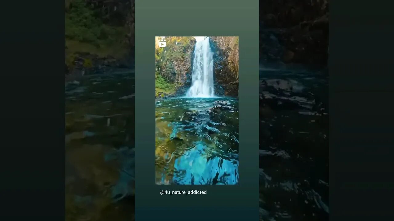 nature feels