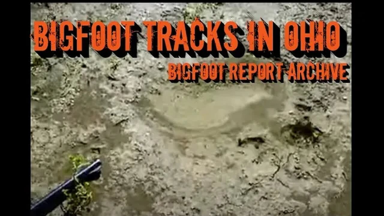 Bigfoot Tracks in Ohio | Bigfoot Report Archive