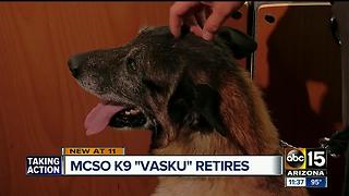 Maricopa County Sheriff K9 retires