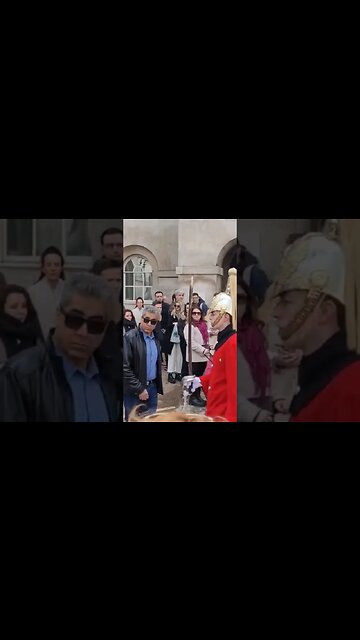 Just stand in the way #horseguardsparade