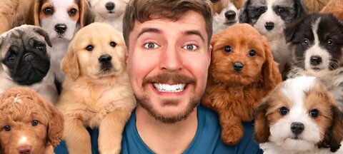 I Rescued 100 Abandoned Dogs!