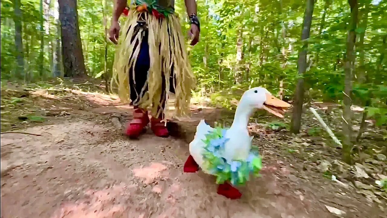 I took my duck to the Jungle