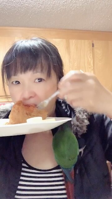 Breakfast With Parrot