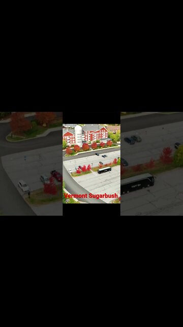 Sweet Views with the Leaves POPPIN at Mt Ellen!!