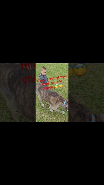 Dog walks boy #shortsvideo #tips #socialmedia #nature #dogs #social #hunting @TalkwithSally