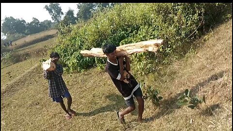 Wood fight