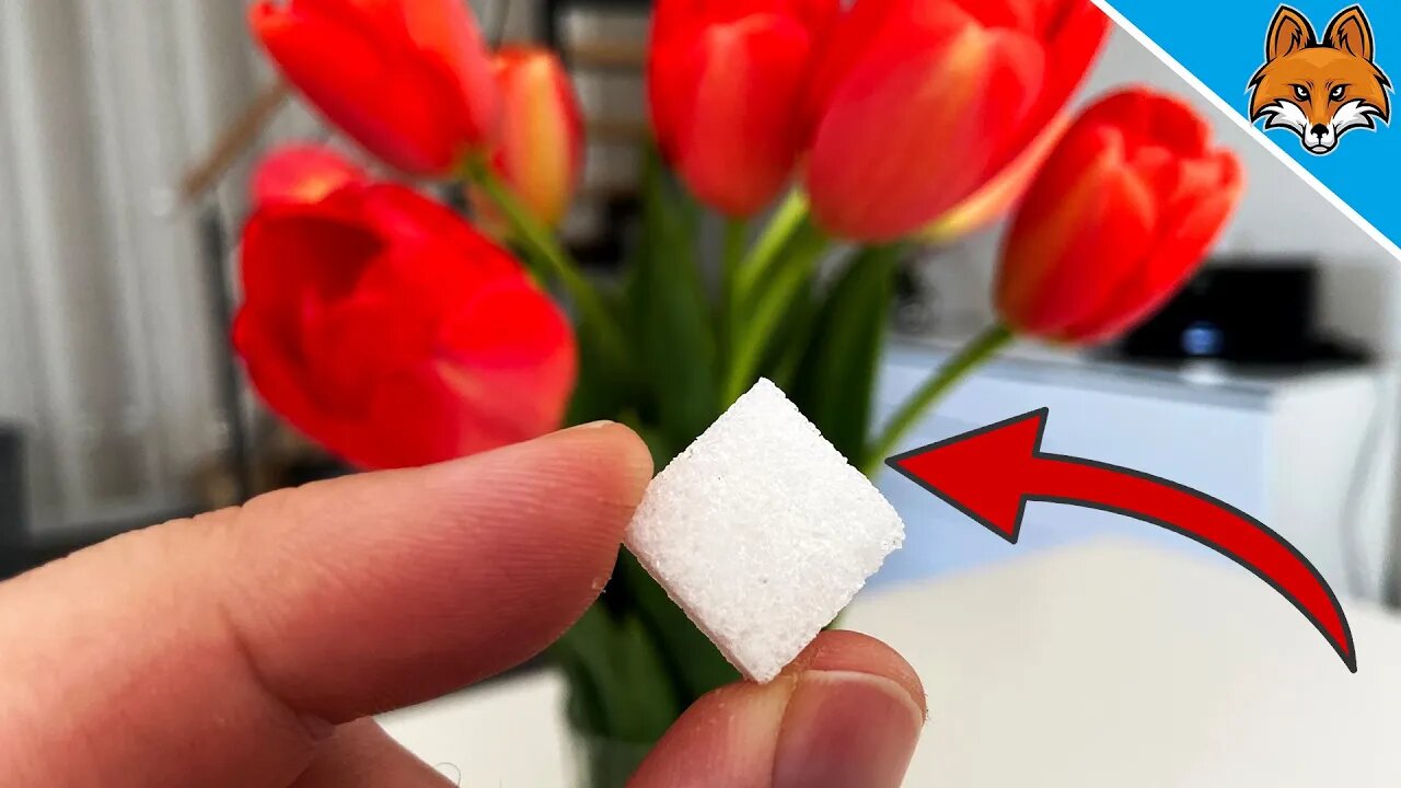 Put THIS in your Flowers and WATCH WHAT HAPPENS 💥 (Ingenious TRICK) 🤯