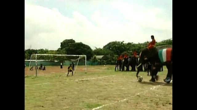 Kids v Elephants Soccer Match