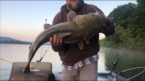 Catfishing Lake Guntersville