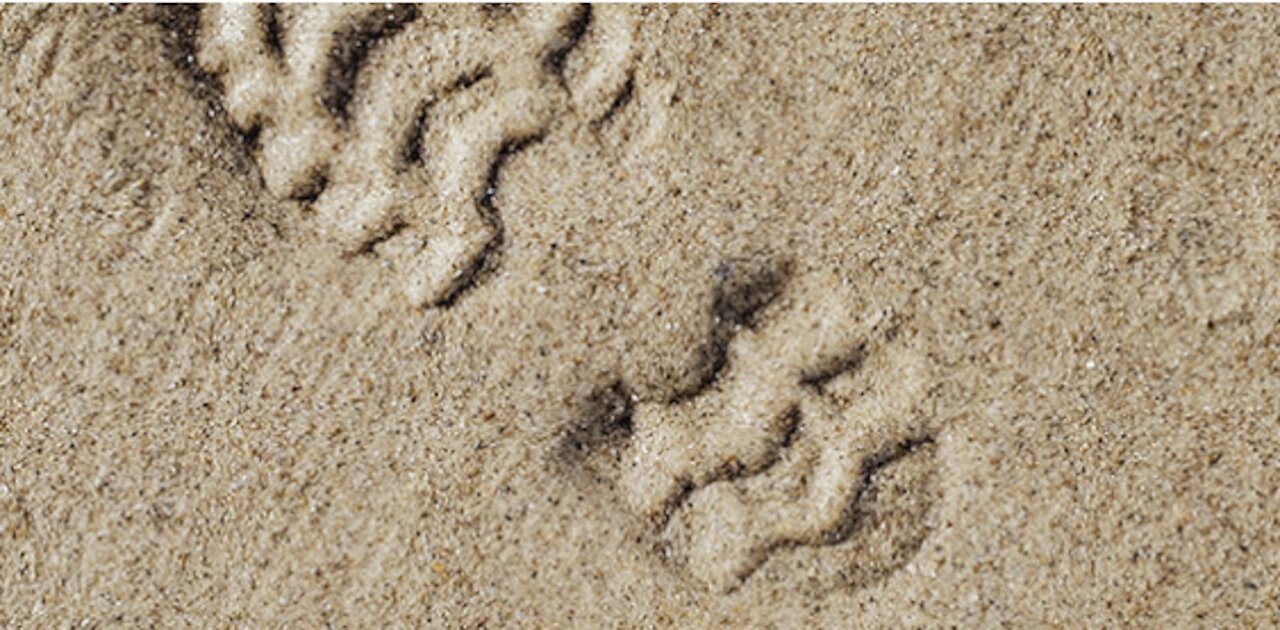 God’s Footprints on Down to Earth Bue Heavenly Minded Podcast