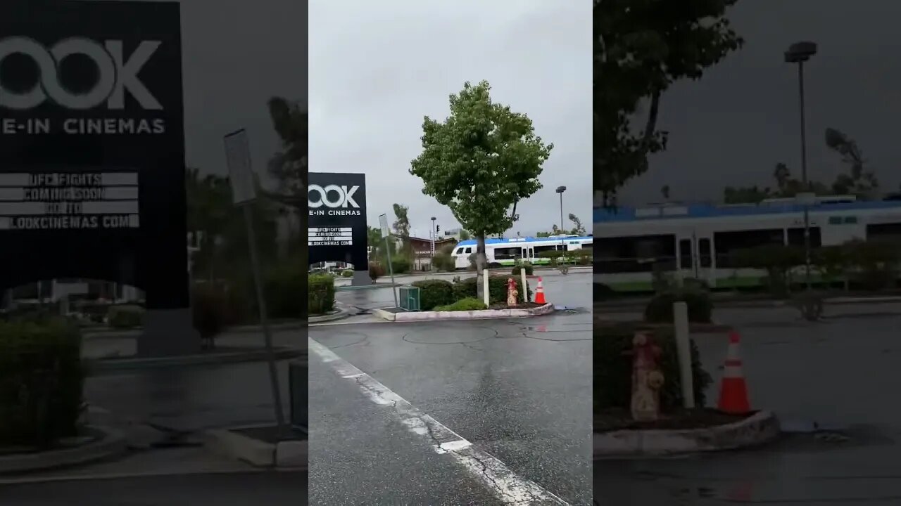 Tuesday Morning Train Crossing #train