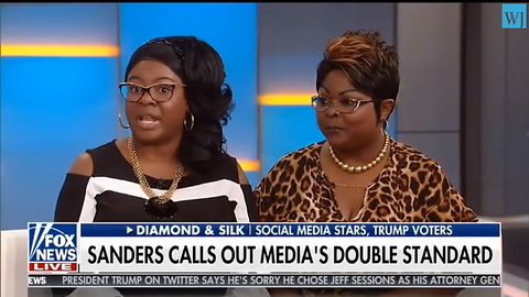 Diamond And Silk Attack Abc, Call Out Establishment Media's Double Standard