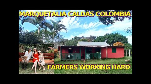 FARMERS WORK HARD IN MARQUETALIA CALDAS COLOMBIA! SEE HOW TO PROCESS SUGARCANE & RUBBER TREES PT.4🇨🇴