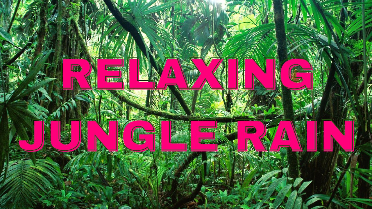 Relaxing Jungle Noises | Ambience and Rain..