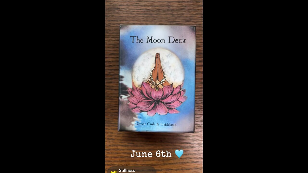 6/6/24 card: stillness