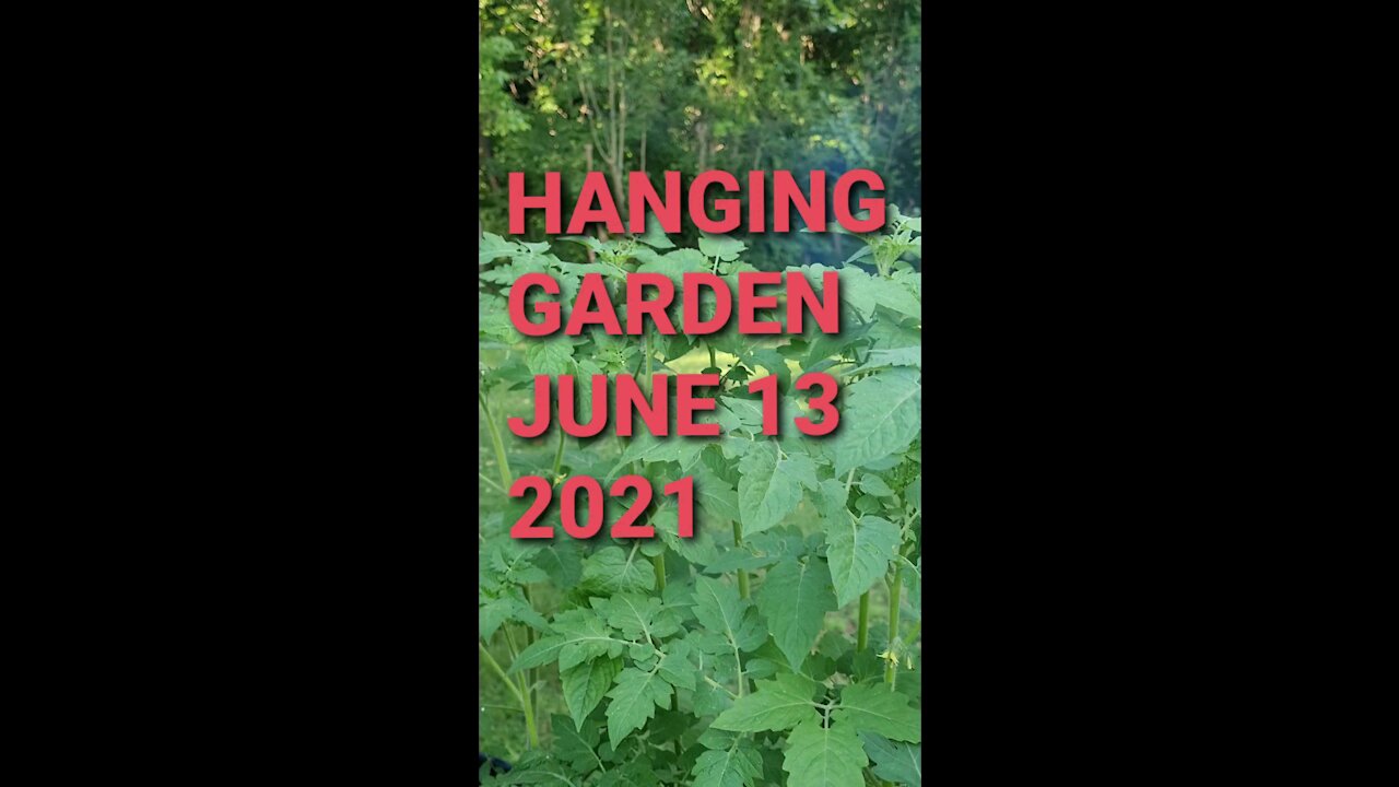 HANGING GARDEN JUNE 13,2021