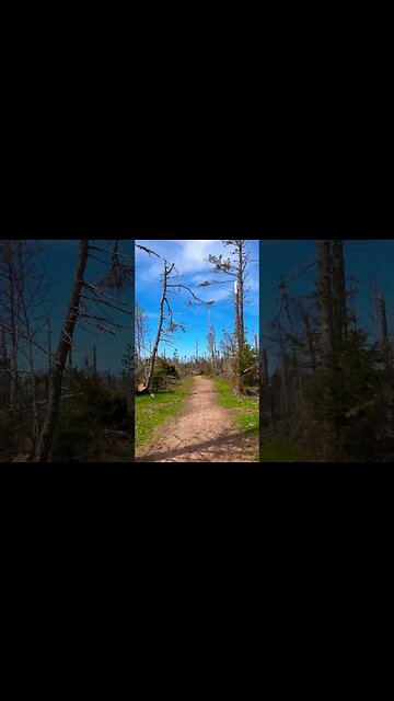 This used to be a Thick Forest 🌳 #globalwarming