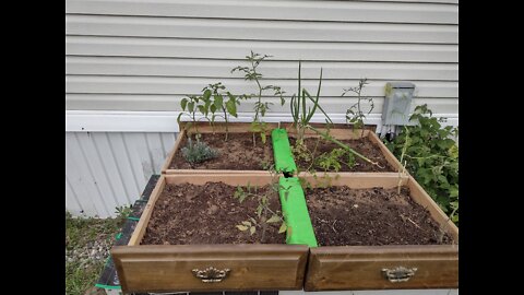 Ugly Container Garden