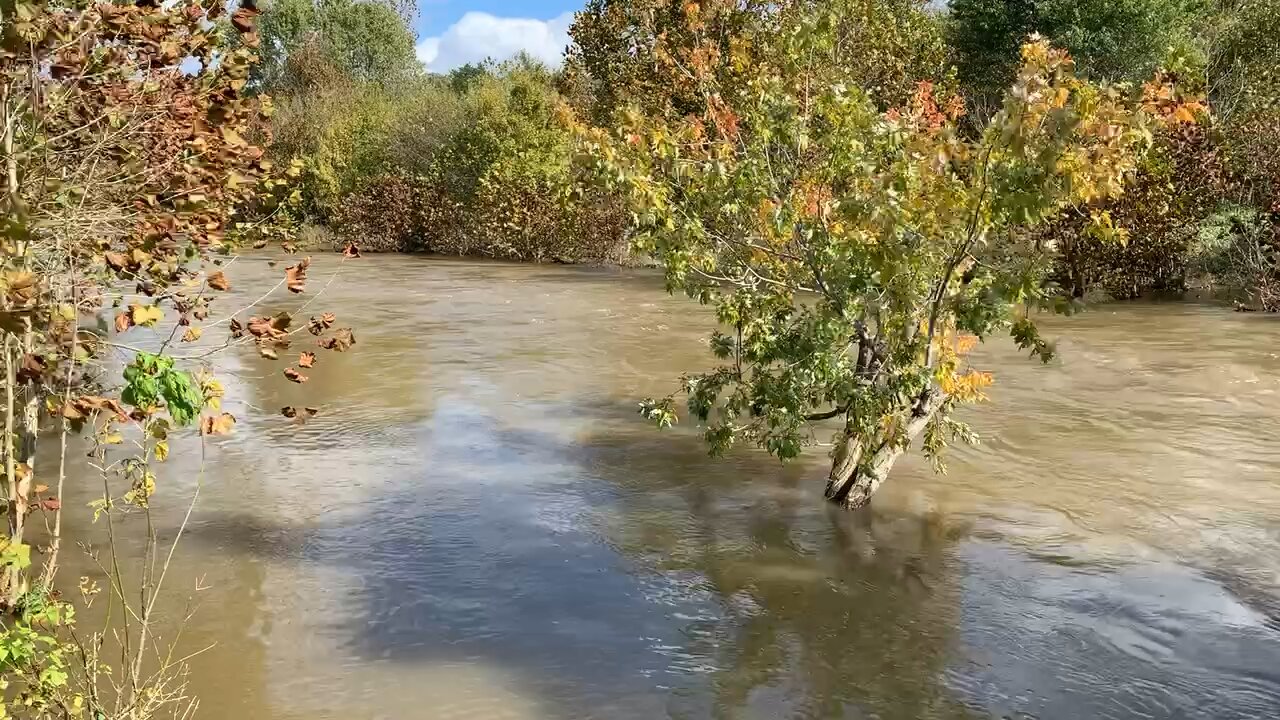 Elkhorn Creek is up