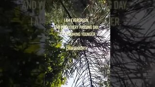 Mithun Chakraborty | I am Evergreen