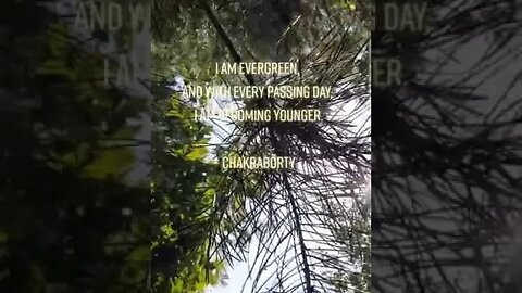 Mithun Chakraborty | I am Evergreen